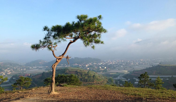 Địa điểm du lịch ở Đà Lạt