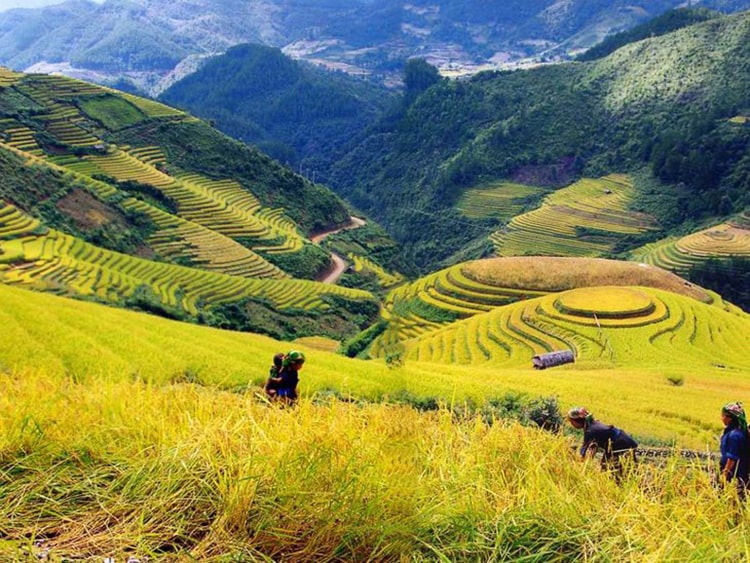 Những địa điểm du lịch tại Sapa