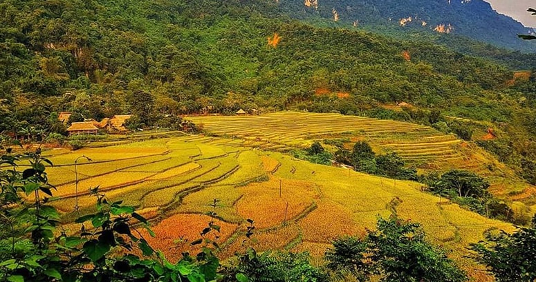 Vé máy bay khuyến mãi Thanh Hoá Sài Gòn