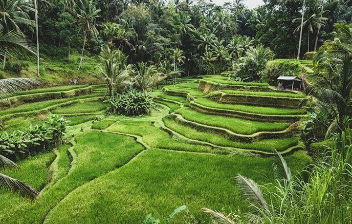 Những địa điểm du lịch tại Bali